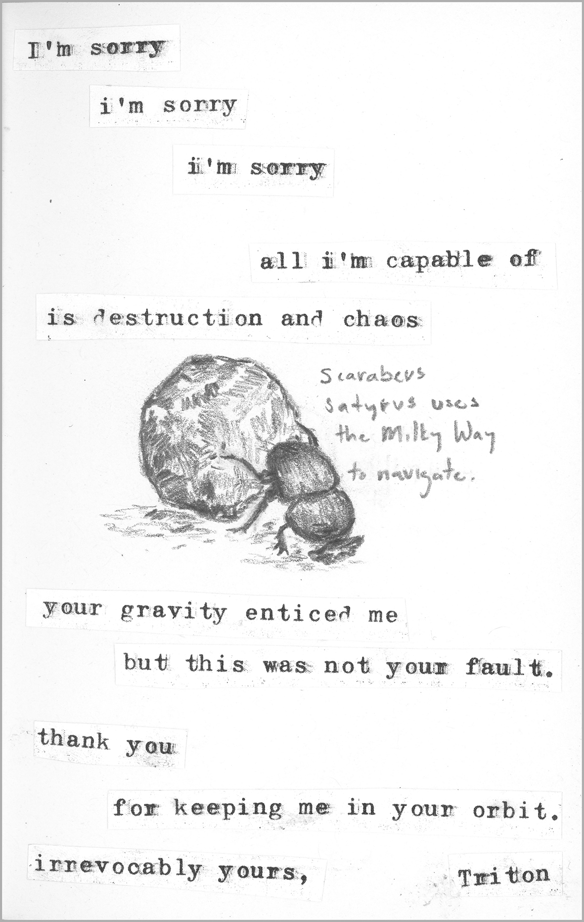 Untitled by Arlo Gray